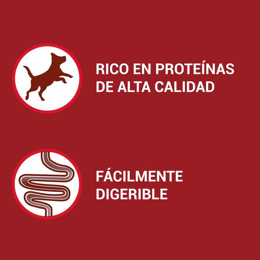 4 sobres x 100 g Purina One Mini Active Buey y Pato sobre en salsa para perros , , large Imagen numero 3