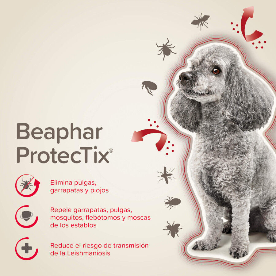Beaphar Protectix Pipetas Antiparasitarias para perros, , large Imagen numero 2