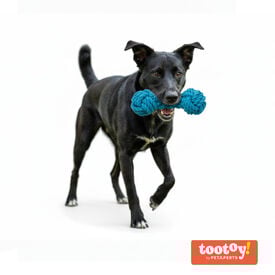 Tootoy! Hueso Mordedor de Cuerda Azul para perros