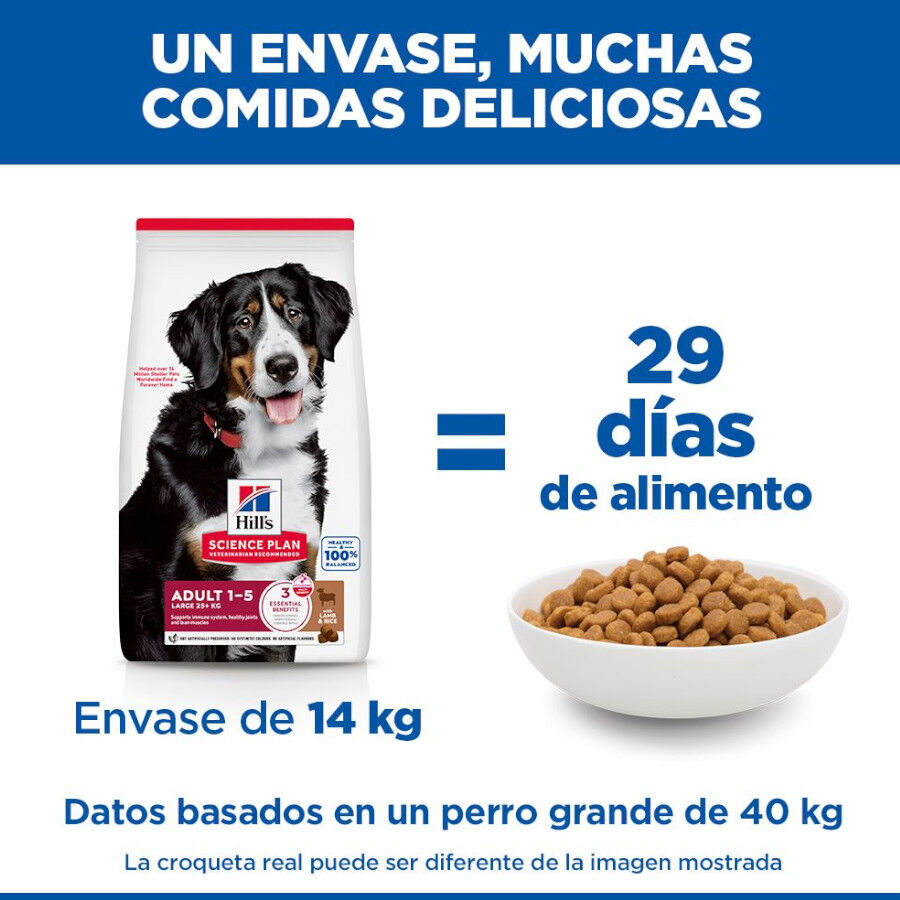 Hill&#039;s Science Plan Adult Large Breed pienso cordero y arroz para perros de razas grandes thumbnail