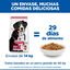 14 kg Hill's Science Plan Adult Large Cordero pienso para perros, , large indicador imagen numero 6