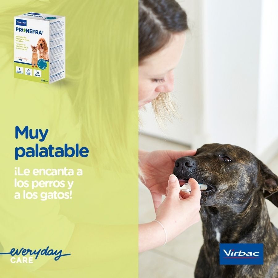 60 ml Virbac Pronefra Suplemento Alimenticio para perros y gatos, , large Imagen numero 8