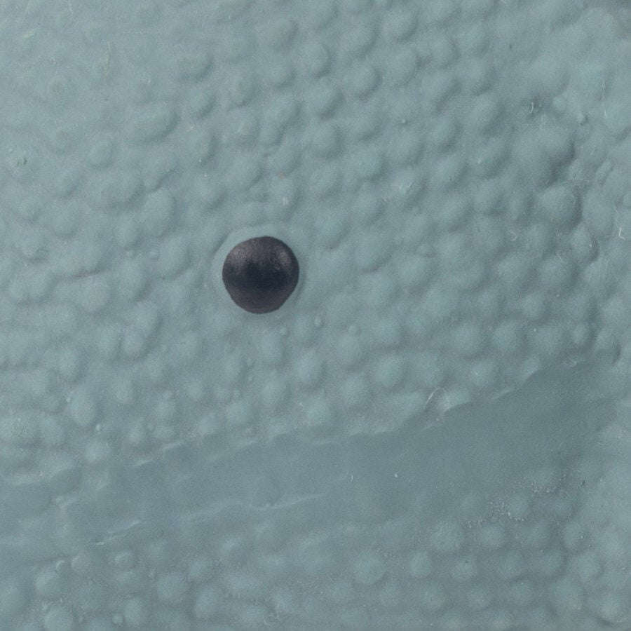 Tootoy! Puppy Mini Elephant Toy mordedor para cachorros, , large Imagen numero 3