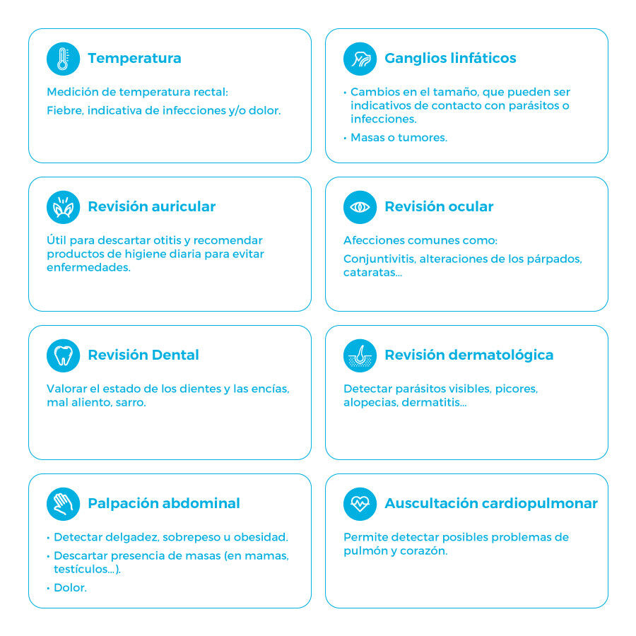 Tarjeta de prevención de la rabia + revisión veterinaria completa para gato thumbnail