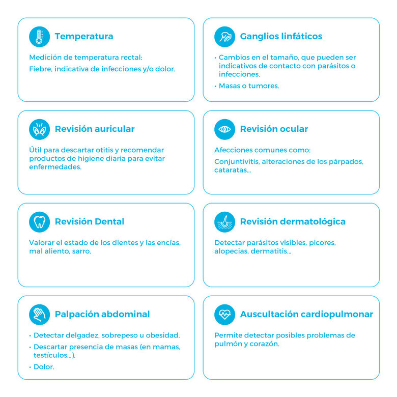 Tarjeta de prevención de la rabia + revisión veterinaria completa para perro,  Imagen numero 3 Tarjeta de prevención de la rabia + revisión veterinaria completa para perro, , large Imagen numero 3