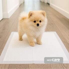 Nice Care Empapadores para perros