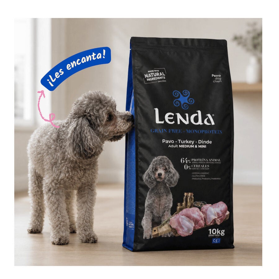 10 kg Lenda Grain Free Pavo pienso para perros, , large Imagen numero 5
