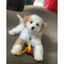 Nylabone Llaves Mordedor Sabor a Bacon para cachorros, , large indicador imagen numero 2