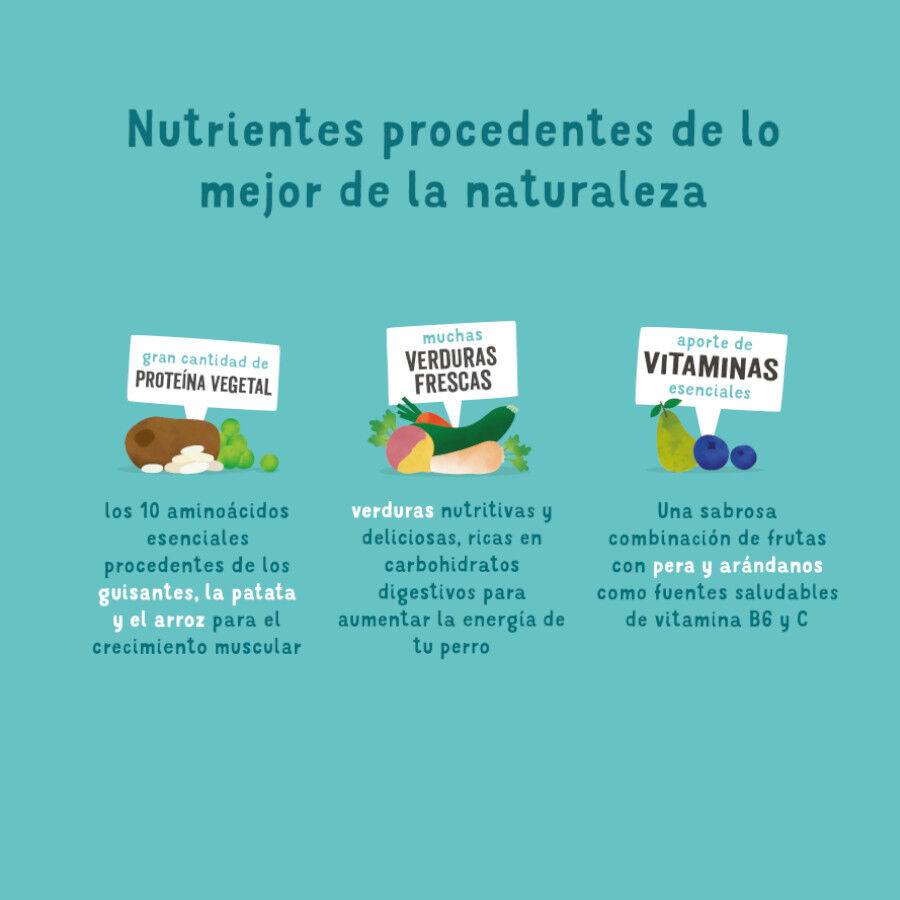 Edgard &amp; Cooper Zanahoria y Calabacín pienso para perros thumbnail