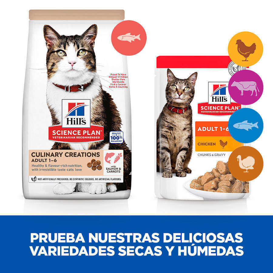 Hill&#039;s Science Plan Culinary Creations Salmón y Zanahorias pienso para gatos thumbnail