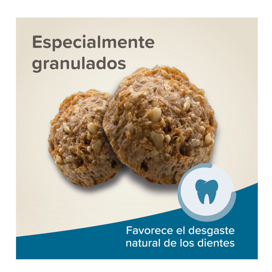 Beaphar Care+ Pienso para conejos, , large Imagen numero 4