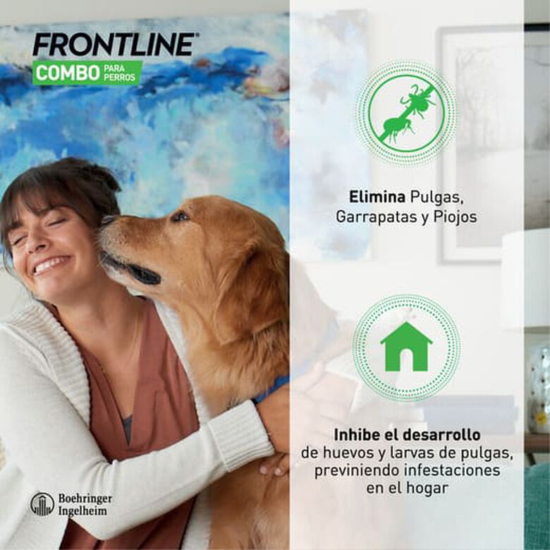 Frontline Combo Pipetas Antiparasitarias para perros pequeños thumbnail