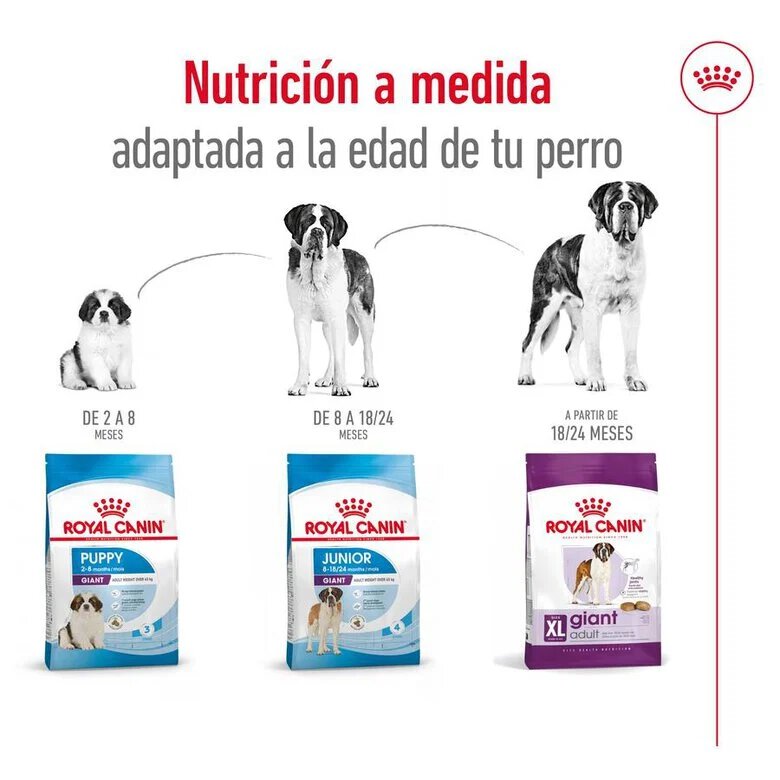 15 kg Royal Canin Giant Adult pienso para perros,  Imagen numero 8 15 kg Royal Canin Giant Adult pienso para perros, , large Imagen numero 8