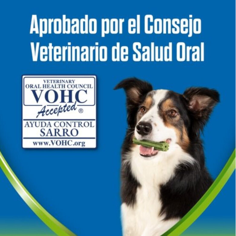 Dentalife Snacks Dentales Large ActivFresh para perros, , large image number null