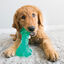 Kong Squeeze Dental Stick juguete para perros, , large indicador imagen numero 2
