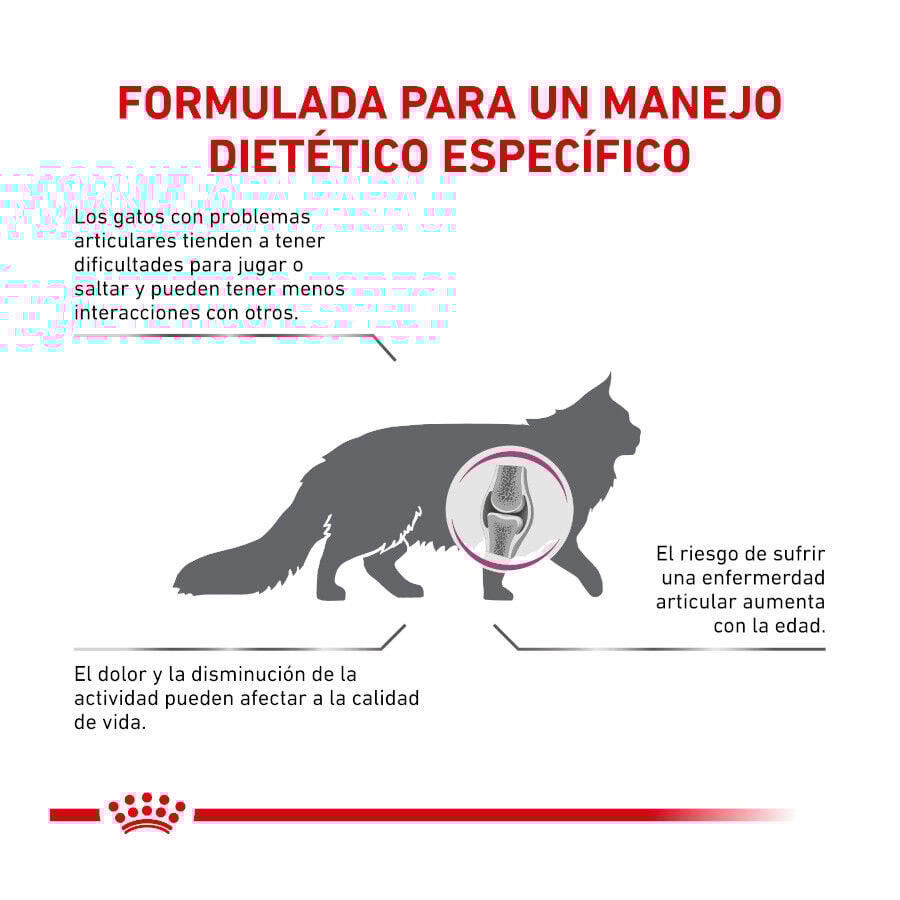 Royal Canin Veterinary Mobility pienso para gatos thumbnail