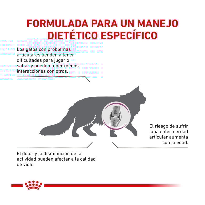 2 kg Royal Canin Veterinary Mobility pienso para gatos,  Imagen numero 6 2 kg Royal Canin Veterinary Mobility pienso para gatos, , large Imagen numero 6