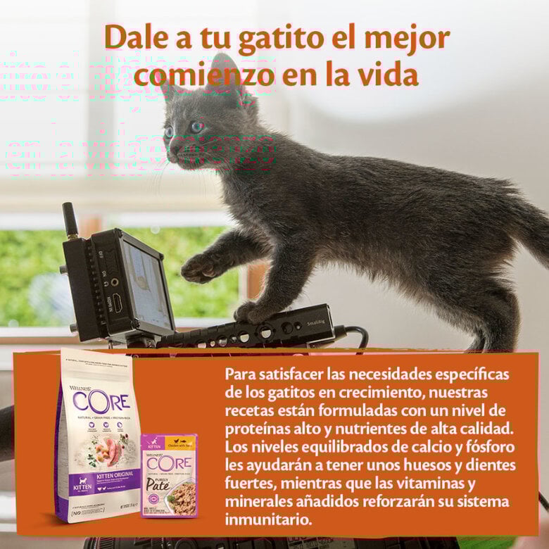 85 g Wellness Core Kitten Pollo en Paté sobre para gatitos,  Imagen numero 4 85 g Wellness Core Kitten Pollo en Paté sobre para gatitos, , large Imagen numero 4