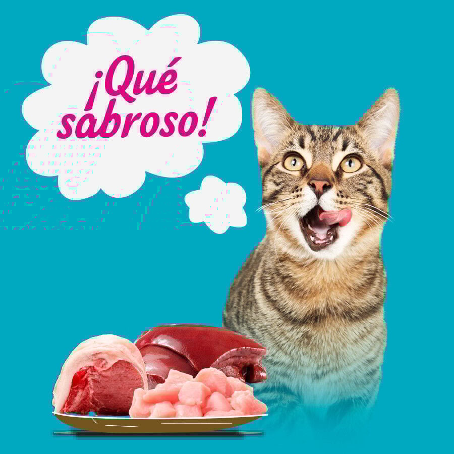 12 latas x 400 g Start Multipack de Carne y Pescado en Gelatina para Gatos, , large Imagen numero 4