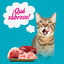 Start Multipack de Carne y Pescado en Gelatina para Gatos, , large indicador imagen numero 4