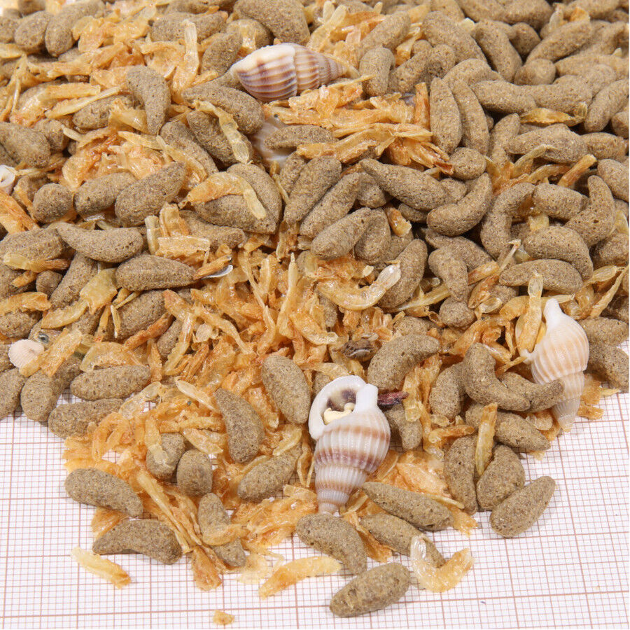 JBL Proterra Molluscus alimento para tortugas, , large Imagen numero 2