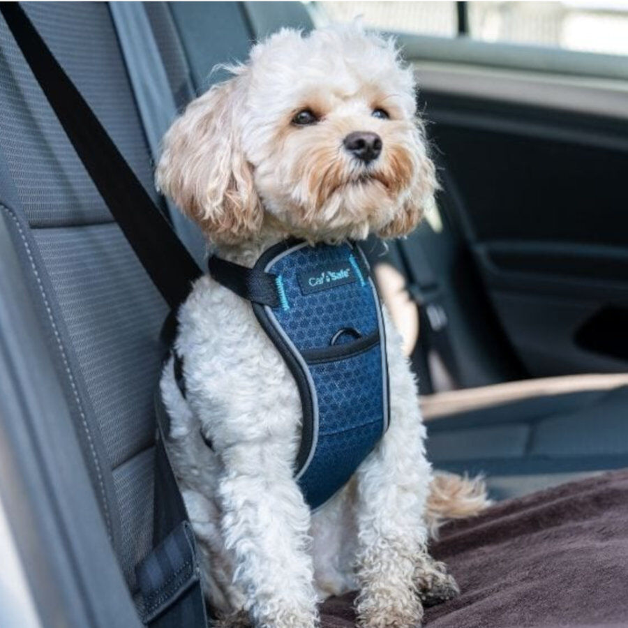 CarSafe arn&eacute;s para cintur&oacute;n de seguridad de coche para perros, , large Imagen numero 2