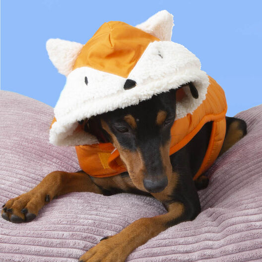 Outech Fox Abrigo para perros