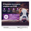 10 kg Wellness Core Puppy Small/Medium Pollo y Pavo pienso para perros, , large indicador imagen numero 3