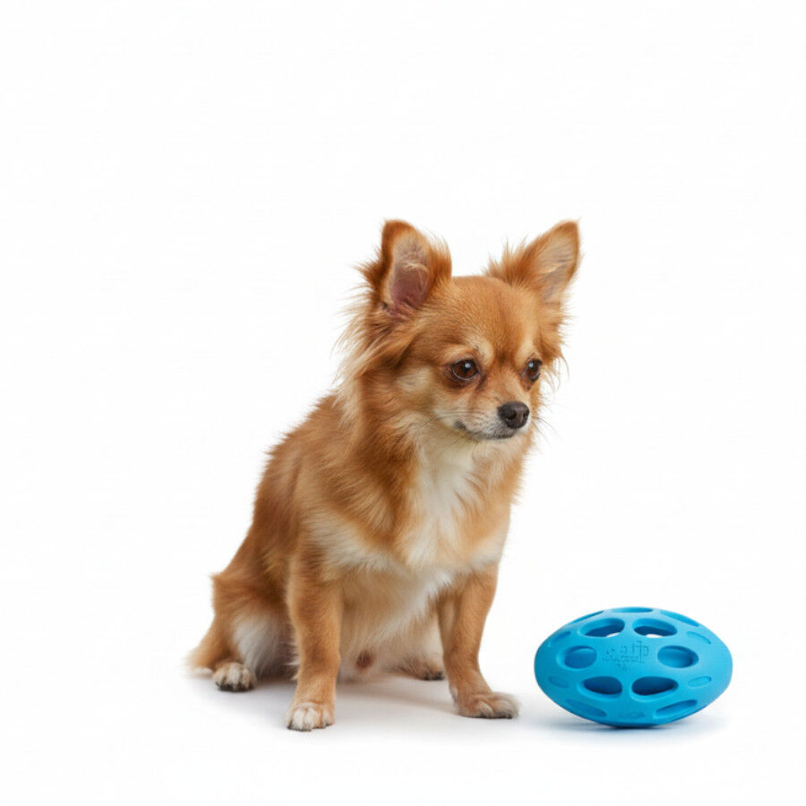 All For Paws Meta Ball Pelota Azul Juguete para perros, , large Imagen numero 3