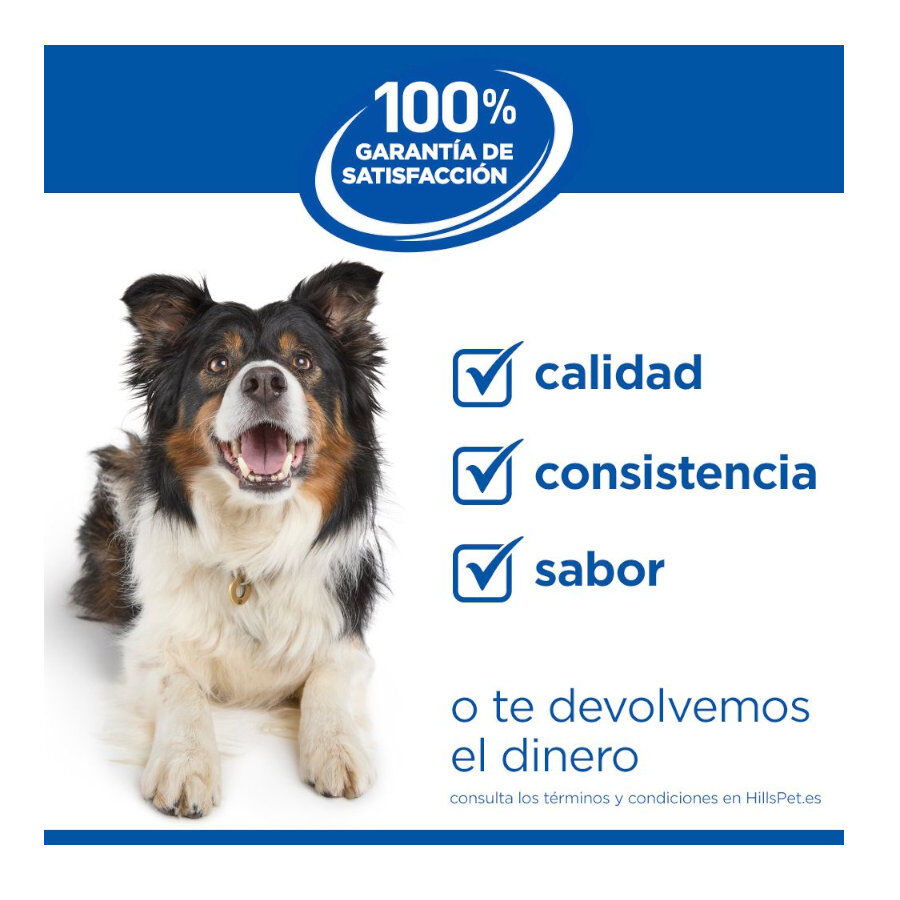 12 kg Hill's Science Plan Perfect Weight y Active Mobility pollo pienso para perros medianos, , large Imagen numero 10