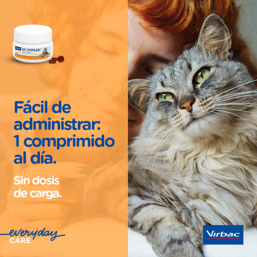 Virbac Movoflex Soft Chews Suplemento para gatos thumbnail