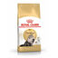 10 kg Royal Canin Persian pienso para gato adulto persa, , large indicador imagen numero 1