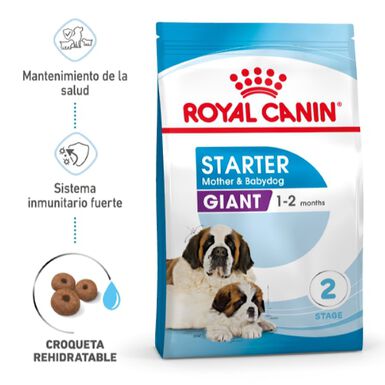 Royal Canin Starter Puppy Giant Pienso para perros