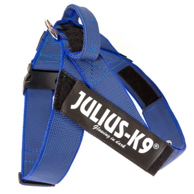 accesorio_perros_juliusk9_idc_cinta_azul_arnes_JULJ16687_M Imagen numero 1 Julius K9 arnés IDC Cinta azul para perros Imagen numero 1