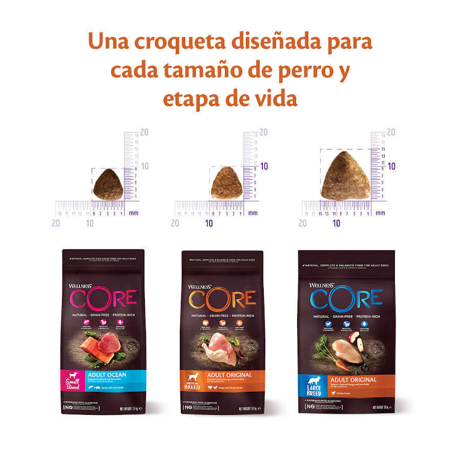 Wellness Core Adult Small Ocean Salmón y Atún pienso para perros thumbnail