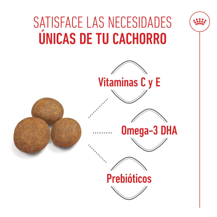 Royal Canin Puppy Maxi pienso para perros thumbnail