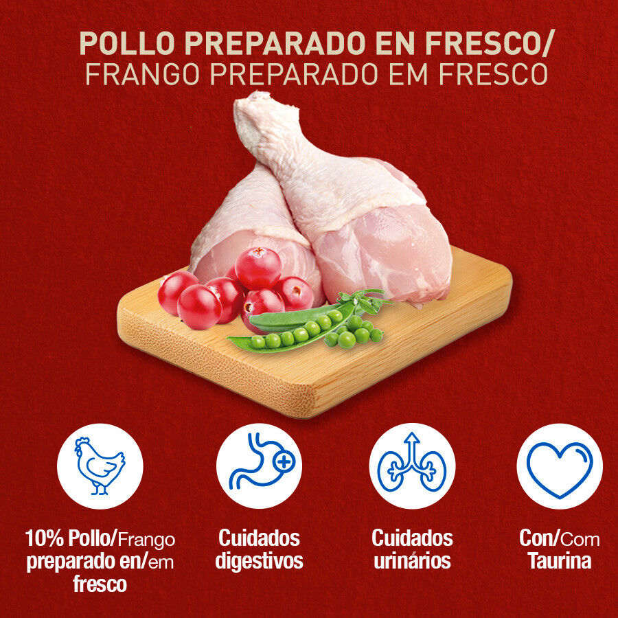 Catxtreme Adult Indoor Sterilised Pollo pienso para gatos thumbnail