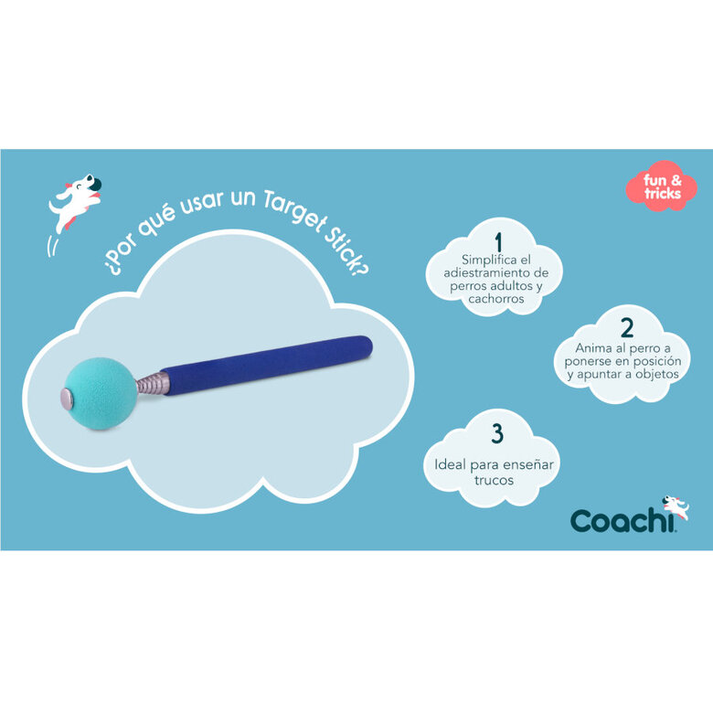 Coachi Target Stick juguete de adiestramiento para perros,  Imagen numero 3 Coachi Target Stick juguete de adiestramiento para perros, , large Imagen numero 3