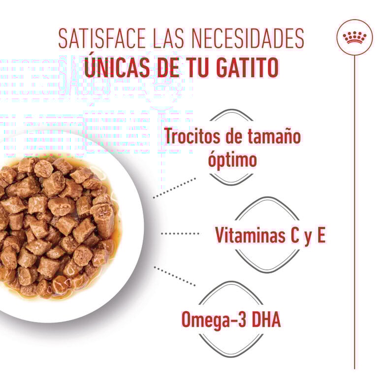 85 g Royal Canin Kitten sobre en salsa para gatos,  Imagen numero 4 85 g Royal Canin Kitten sobre en salsa para gatos, , large Imagen numero 4