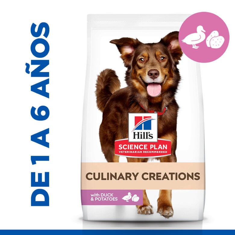 2.5 kg Hill's Science Plan Culinary Creations Pato y Patata pienso para perros medianos,  Imagen numero 2 2.5 kg Hill's Science Plan Culinary Creations Pato y Patata pienso para perros medianos, , large Imagen numero 2