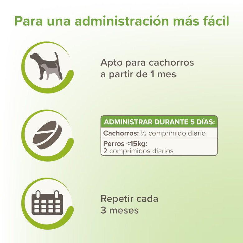Beaphar VERMIpure Repelente Interno Natural en comprimidos para perros pequeños y cachorros,  Imagen numero 4 Beaphar VERMIpure Repelente Interno Natural en comprimidos para perros pequeños y cachorros, , large Imagen numero 4