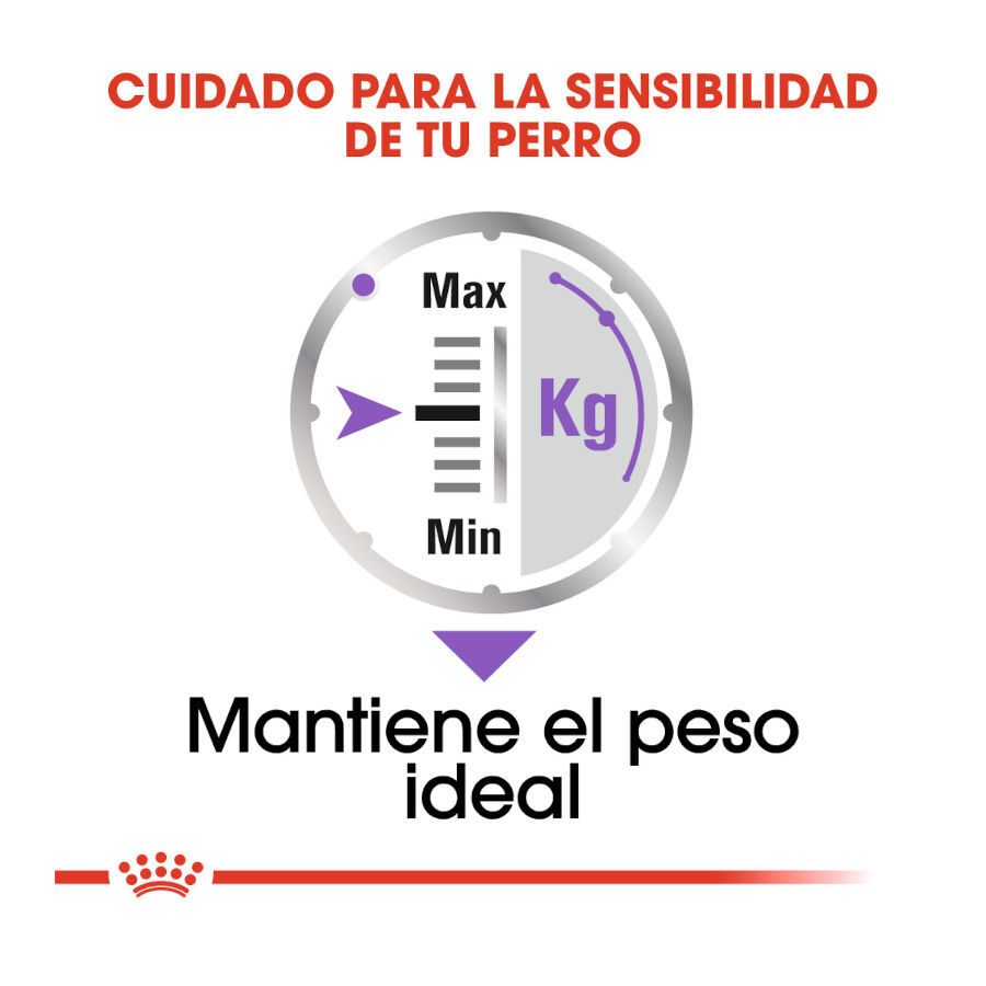 Royal Canin Sterilised Sobres Paté para perros thumbnail