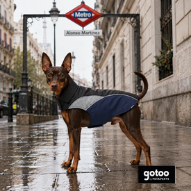 Gotoo Impermeable Reflectante Gris Azulado para perros