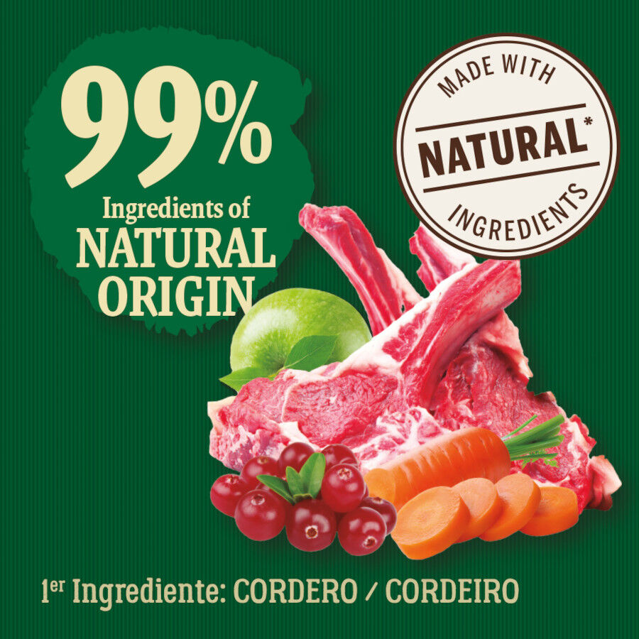 True Origins Wild Forest Cordero Pienso para perros thumbnail