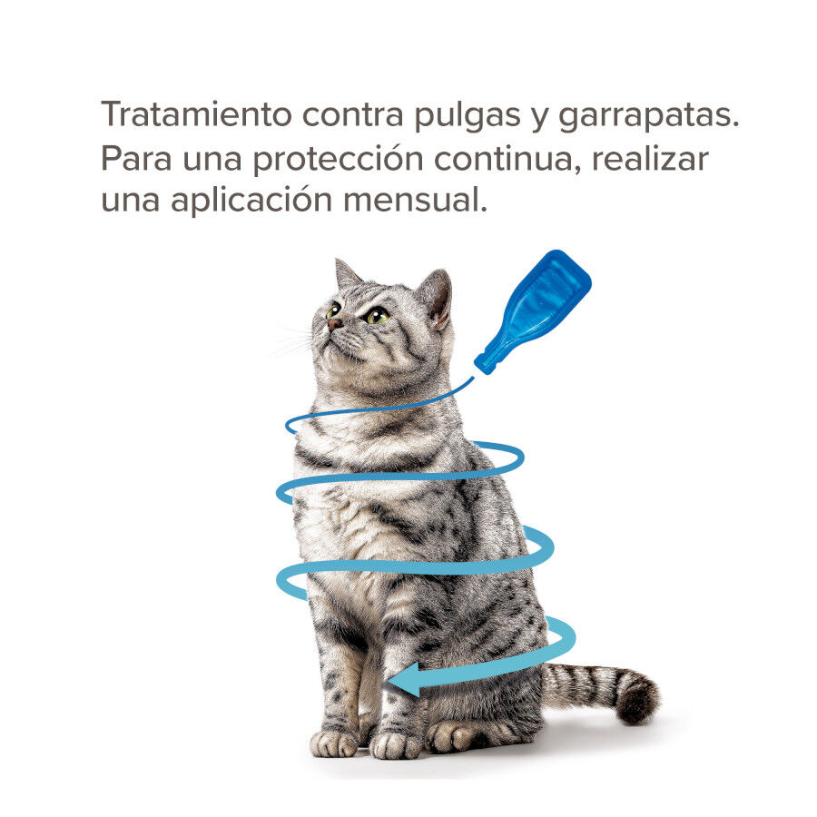 Beaphar Fiprotec Pipetas Antiparasitarias para gatos thumbnail