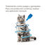 Beaphar Fiprotec Pipetas Antiparasitarias para gatos, , large indicador imagen numero 3