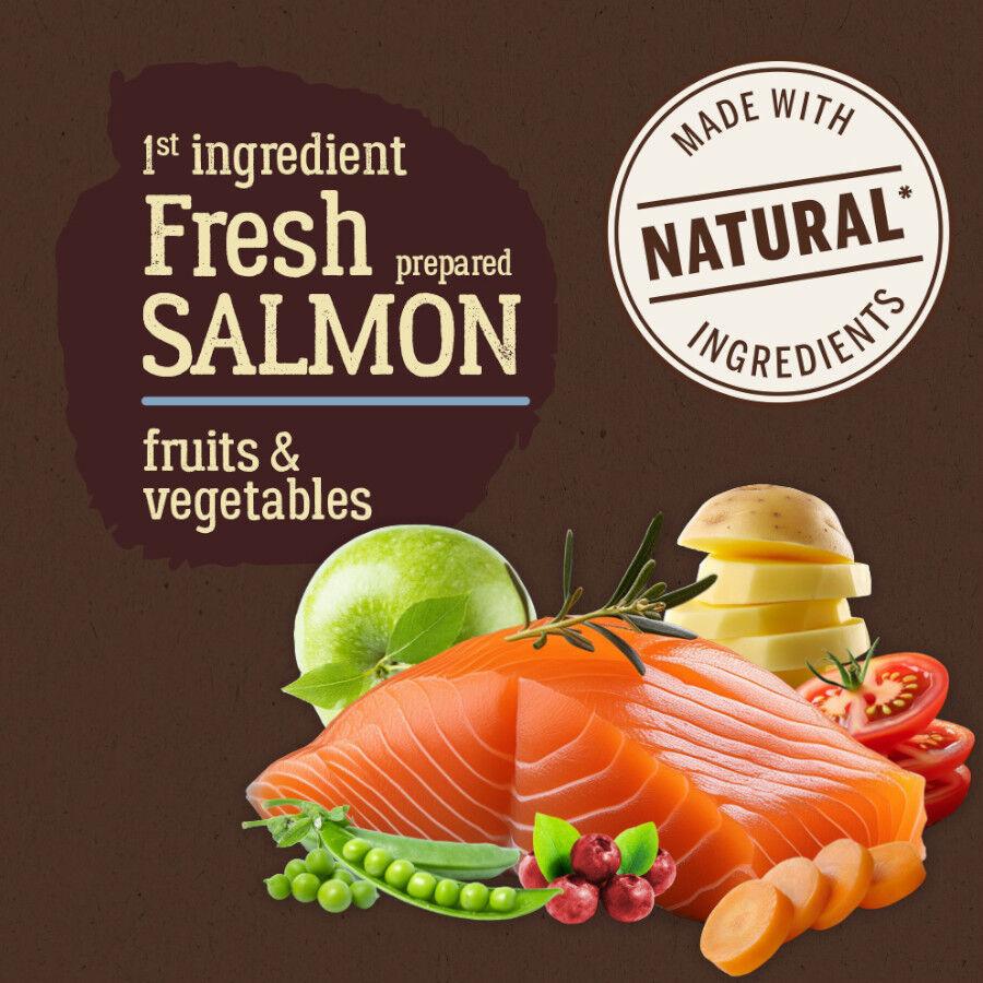 True Origins Pure Adult Sterilised Salmón No Grain pienso para gatos thumbnail