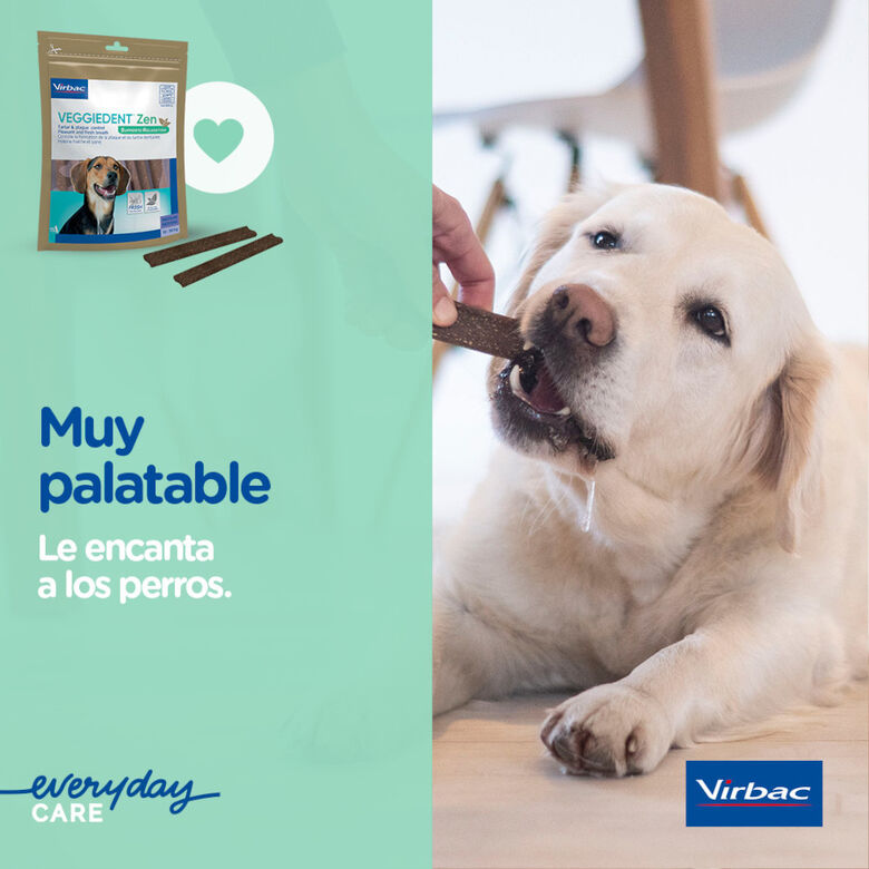 Virbac Láminas Veggiedent Zen M para perros thumbnail