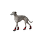 Gotoo Zapatos Rojo y Negro para galgos, , large indicador imagen numero 7