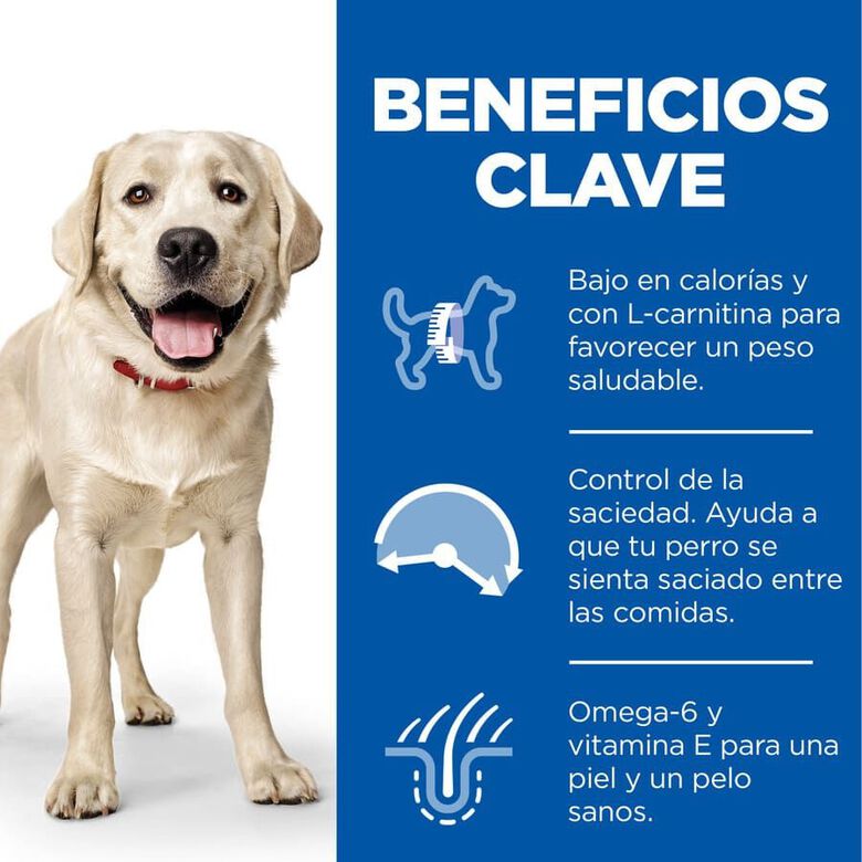 Hill&#039;s Science Plan Light Adult Pollo pienso para perros thumbnail